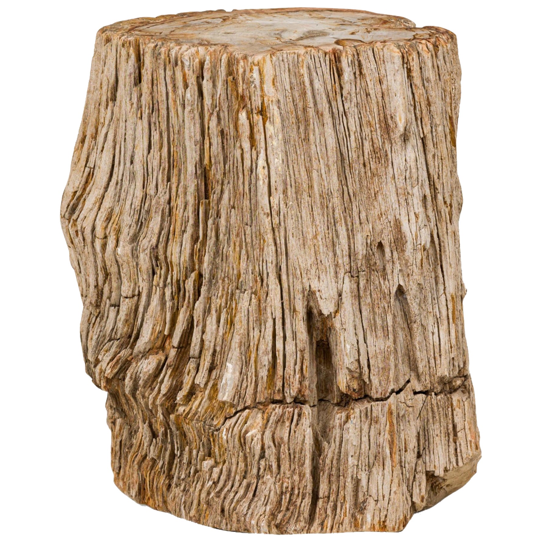 Natural Live Edge Petrified Wood Stump
