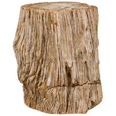 Natural Live Edge Petrified Wood Stump