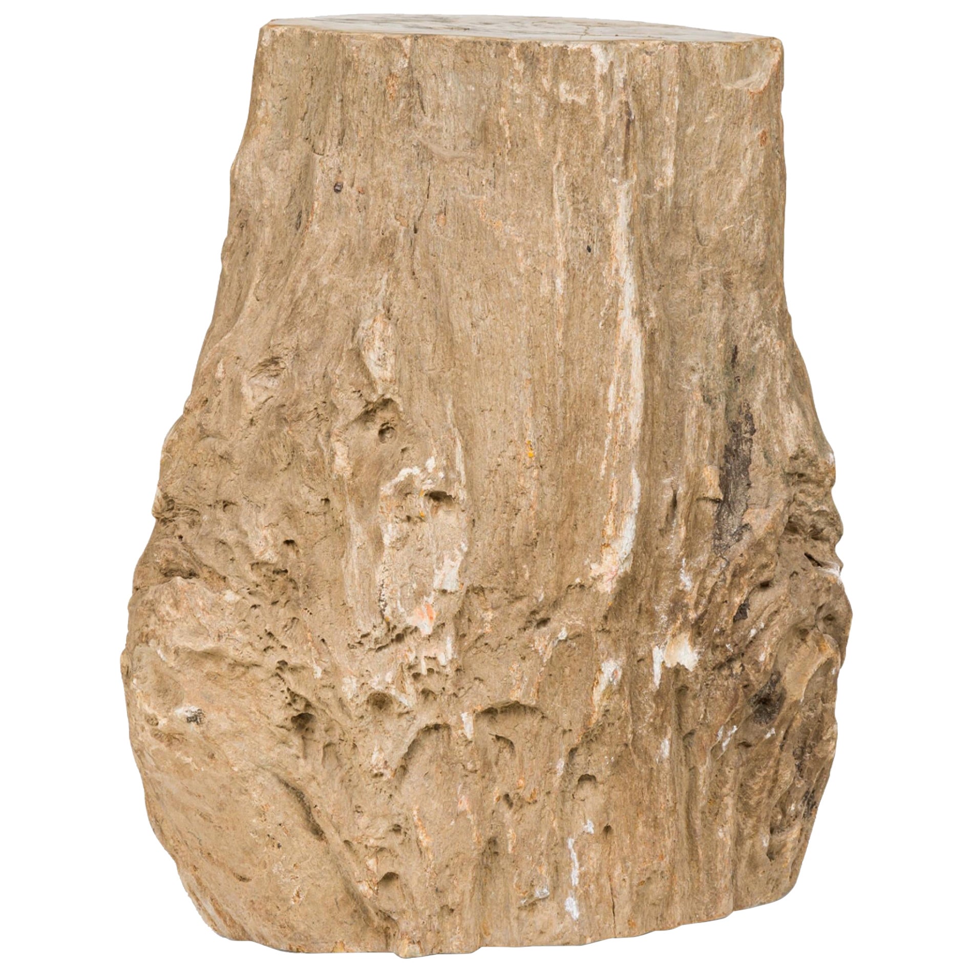 Natural Live Edge Petrified Wood Stump