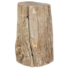 Natural Live Edge Petrified Wood Stump