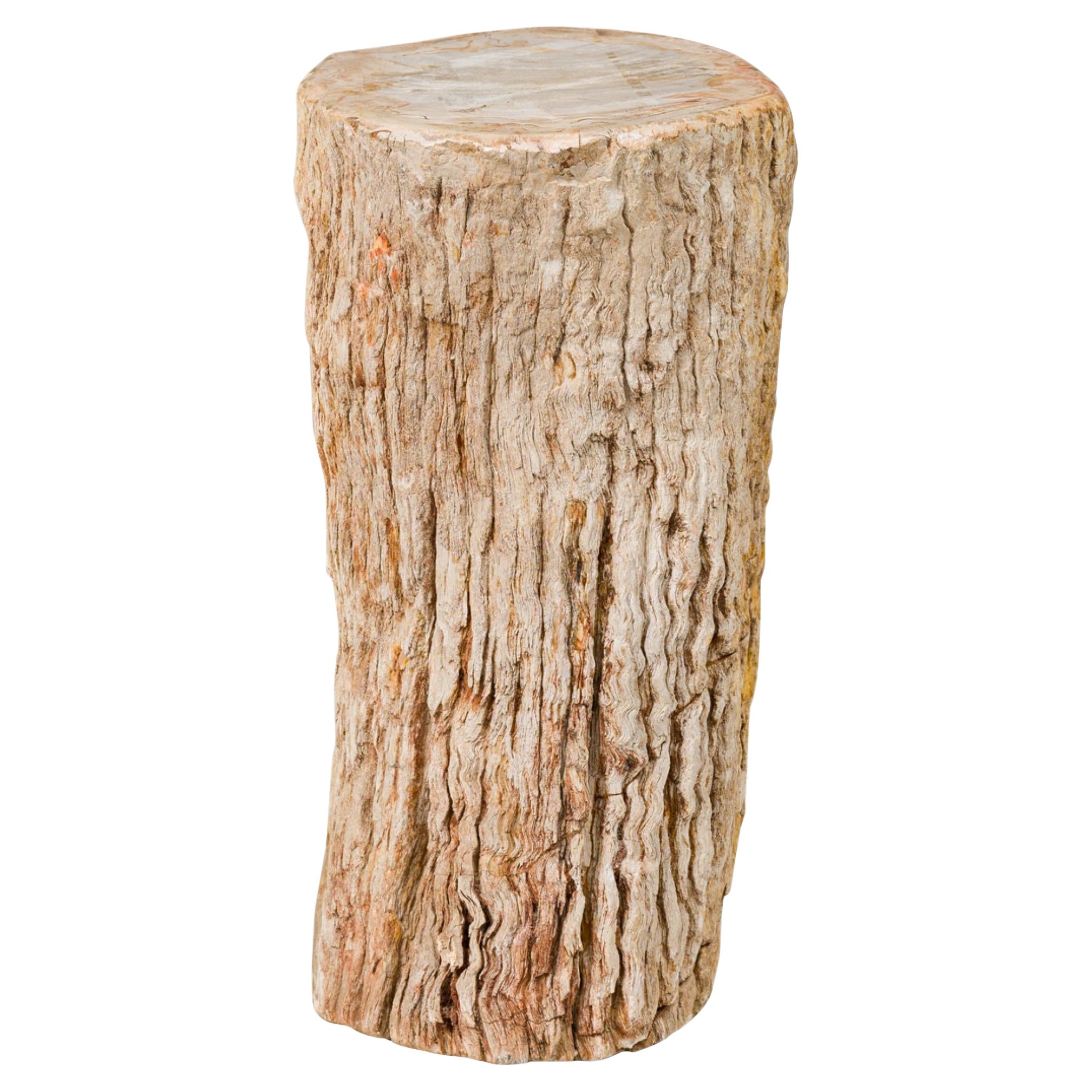 Natural Live Edge Petrified Wood Stump