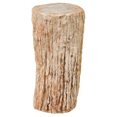 Natural Live Edge Petrified Wood Stump