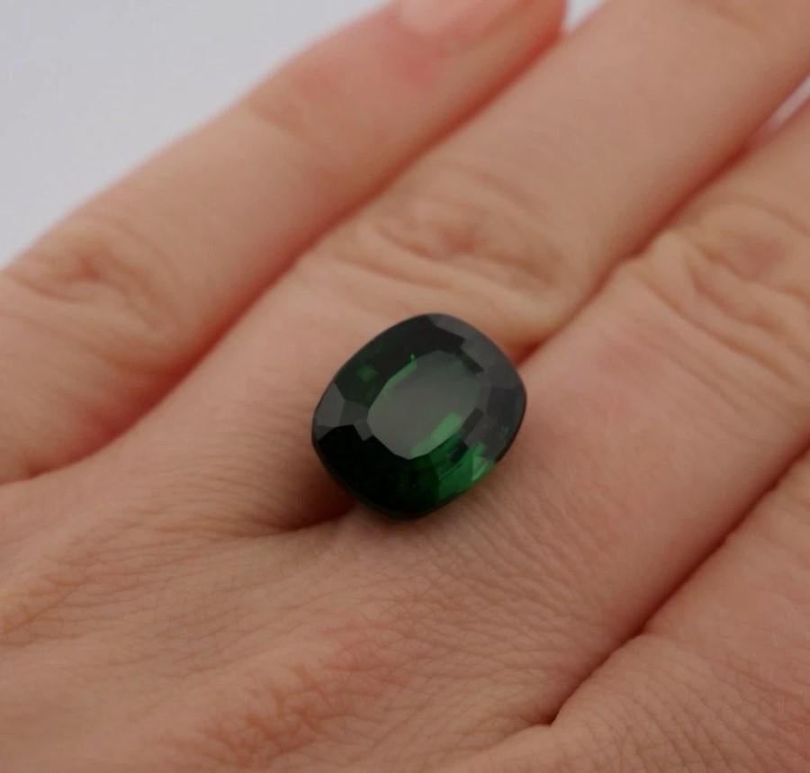 Natural Loose 11.66 Carats Eye Clean Green Tourmaline Elongated Cushion en venta 1