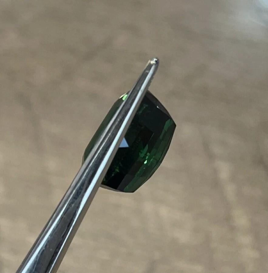 Natural Loose 11.66 Carats Eye Clean Green Tourmaline Elongated Cushion en venta 2