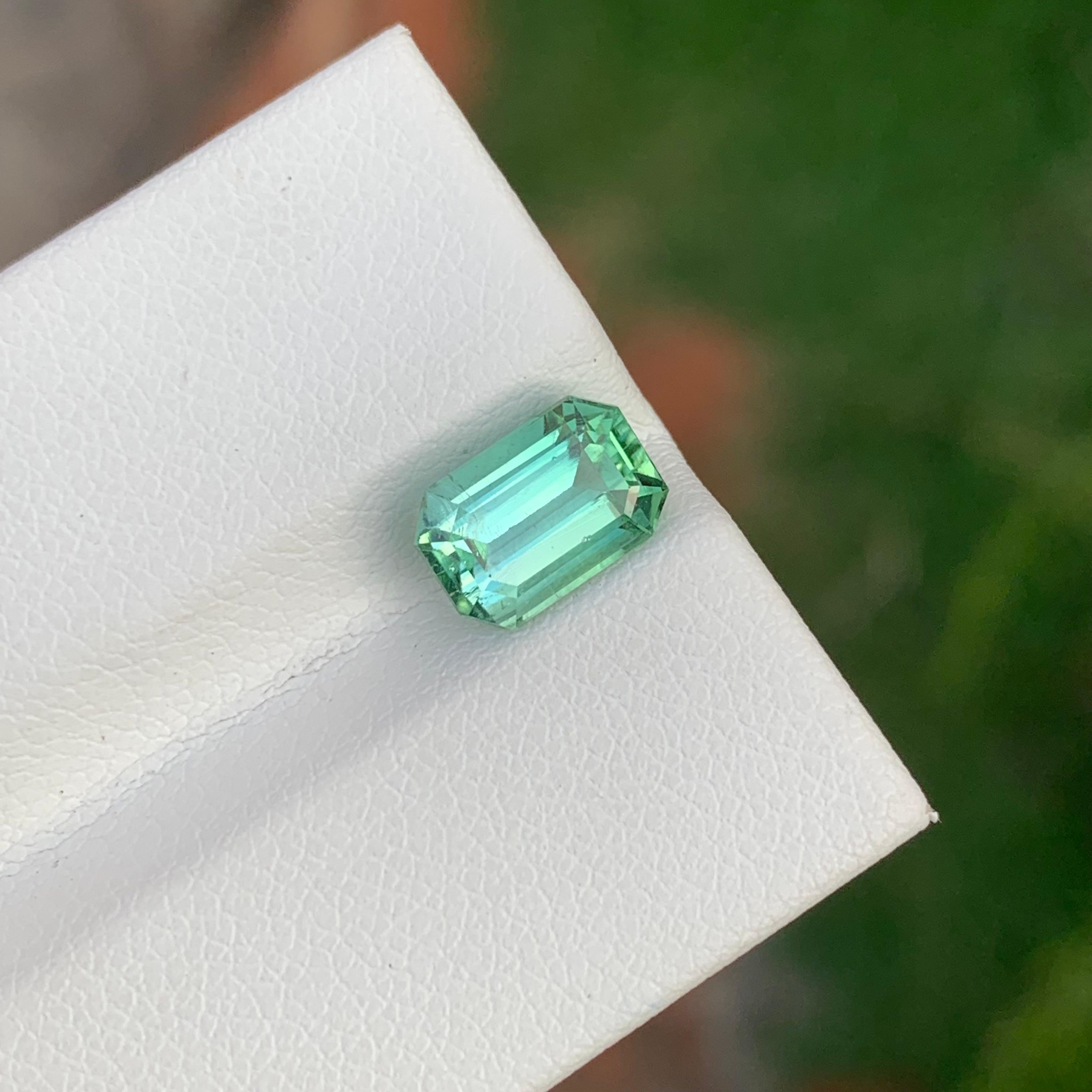 Loose Mint Green Tourmaline

Weight: 2.00 Carats
Dimension: 8.6 x 5.8 x 4.8 Mm
Colour: Mint Green 
Origin: Afghanistan
Certificate: On Demand
Treatment: Non
Shape: Emerald 


Tourmaline is a captivating gemstone known for its remarkable variety of
