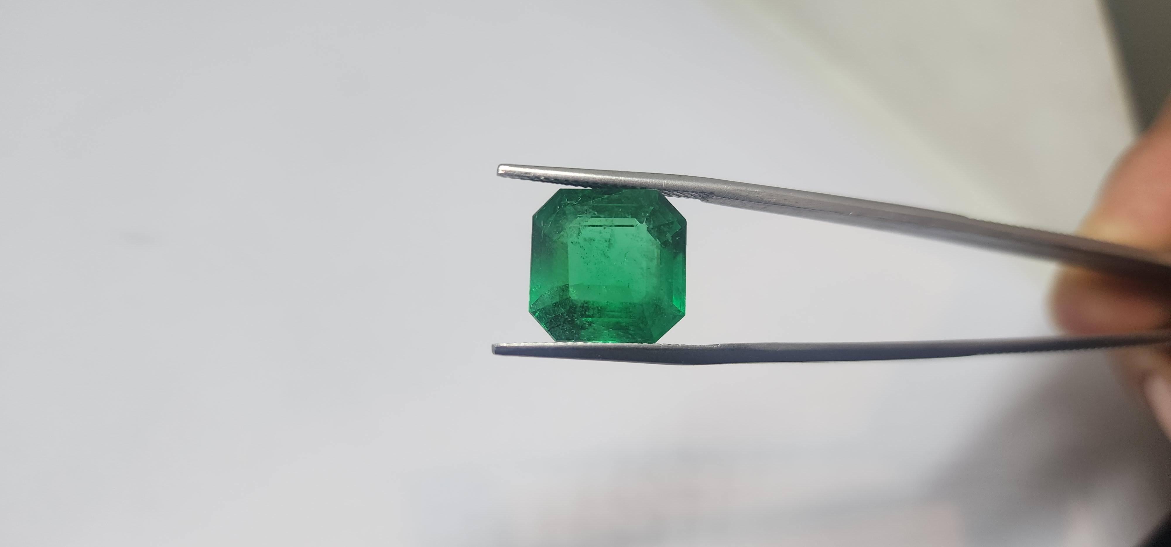 da uomo o donna Nature sciolto Smeraldo zambiano di alta qualità 9,75 carati in vendita