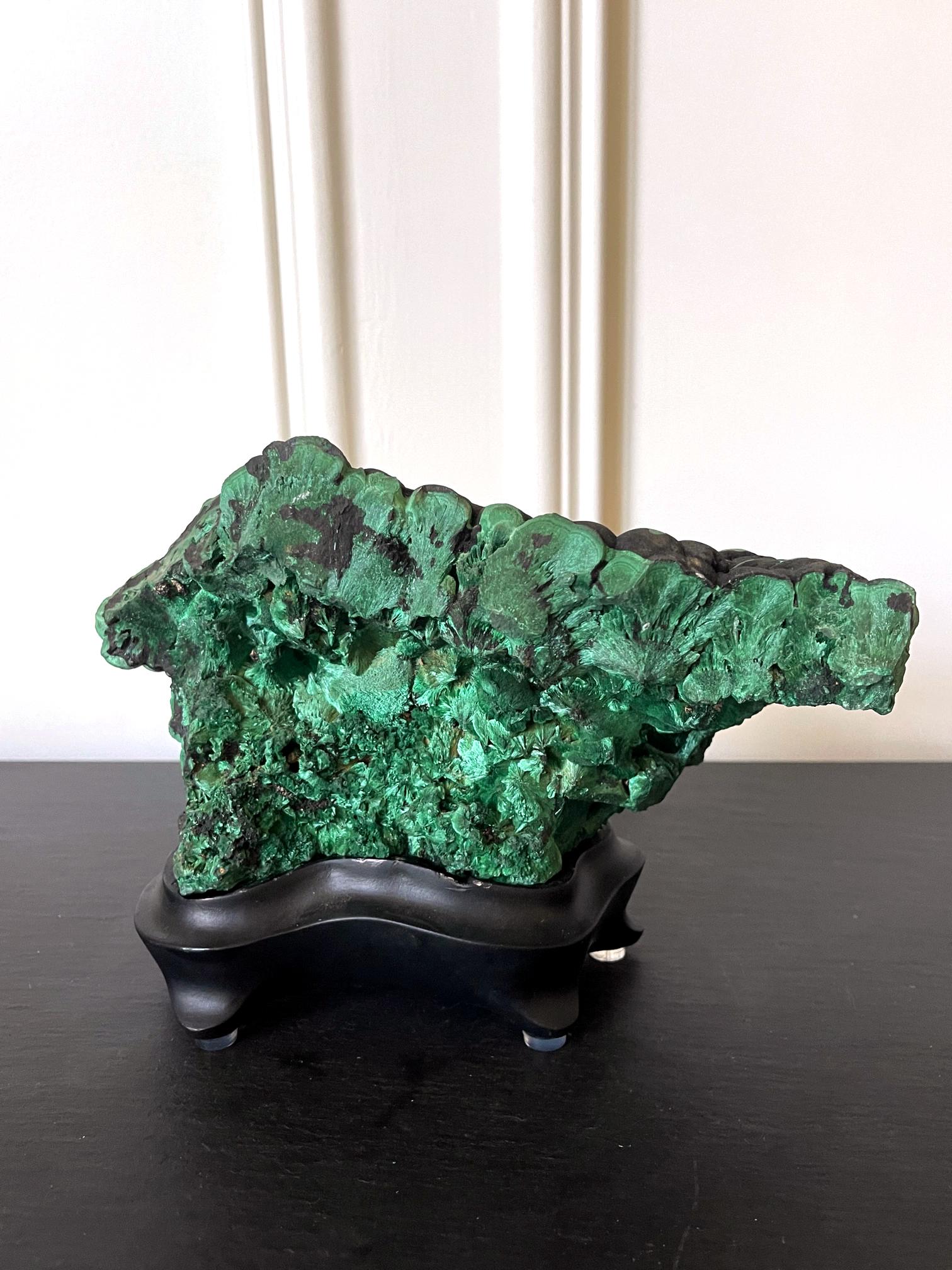 A natural malachite rock specimen with striking green and black colors fitted on a wood stand for viewing and meditating. The gemstone has pointed and jagged surface on one side and a botryoidal form on the other side, revealing a beautiful, mottled