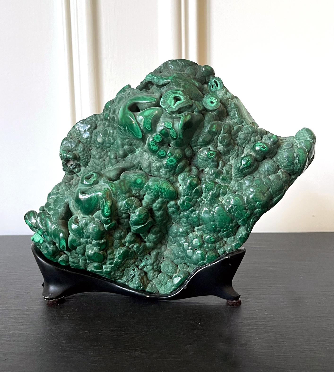 A natural malachite rock specimen with striking green and black colors fitted on a wood stand for viewing and meditating. The front of the gemstone features tight and small polished botryoidal form, revealing a beautiful, mottled pattern with