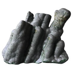 Especímenes naturales