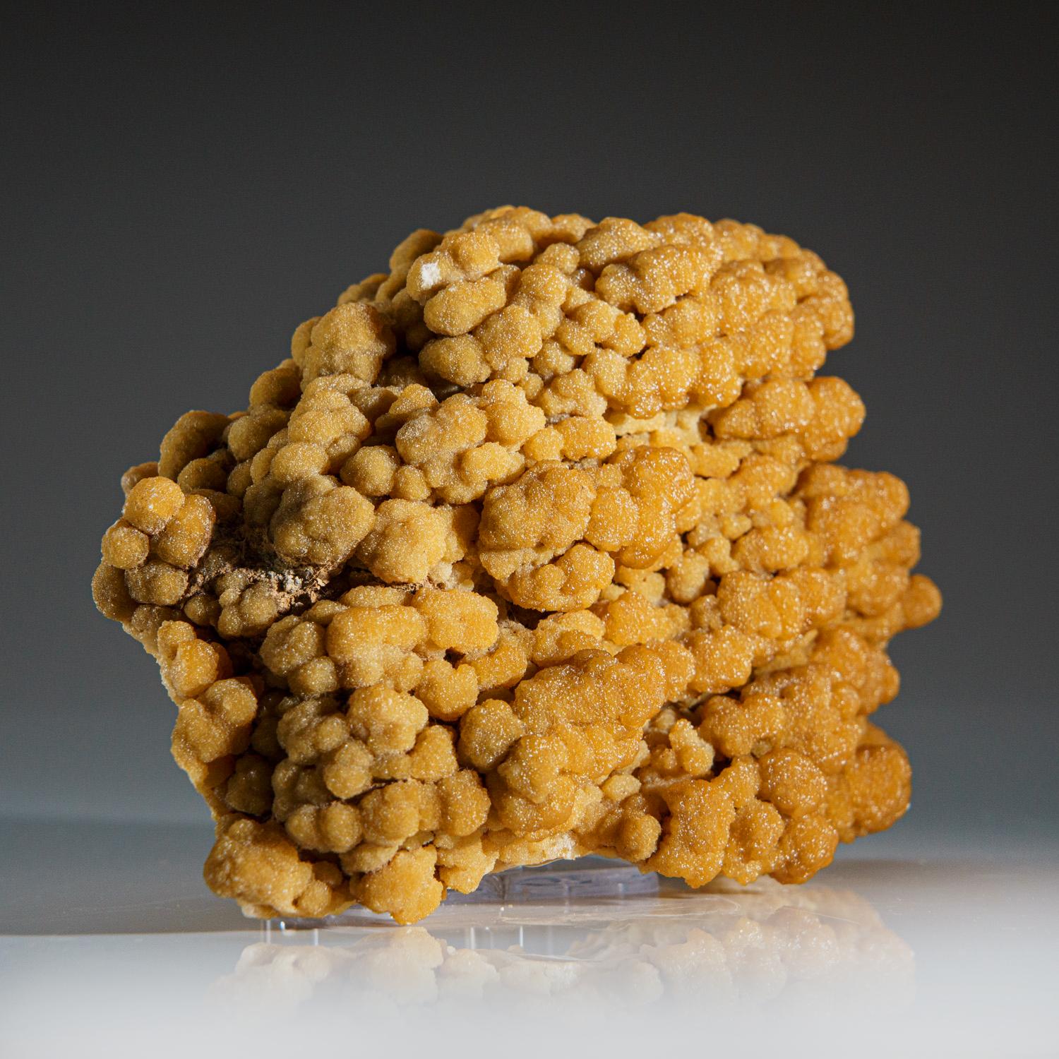 Cristal minéral Mimetite naturel du Mexique « 1,9 lbs » Excellent état à New York, NY