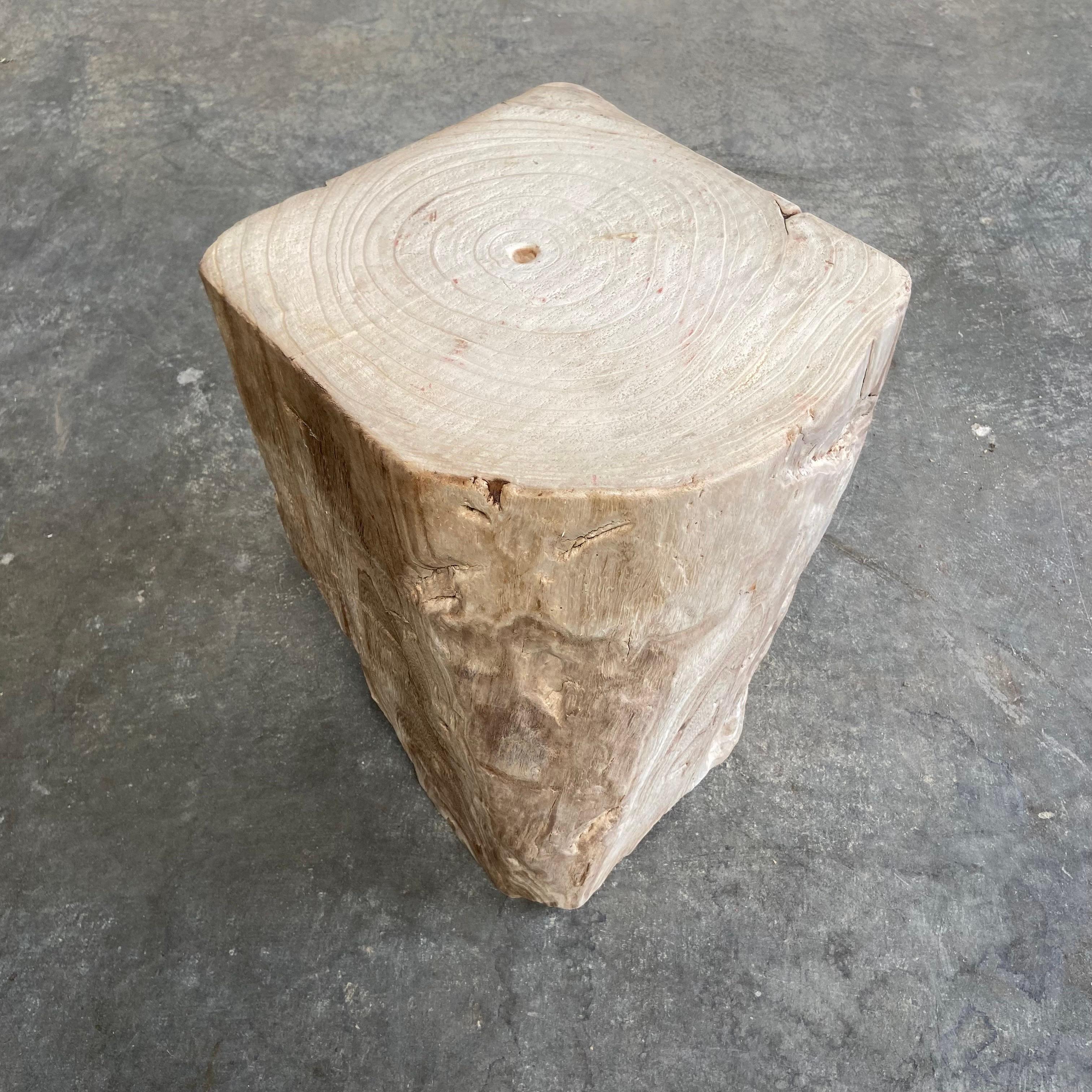 Natural Minimalist Stump Side Table 4