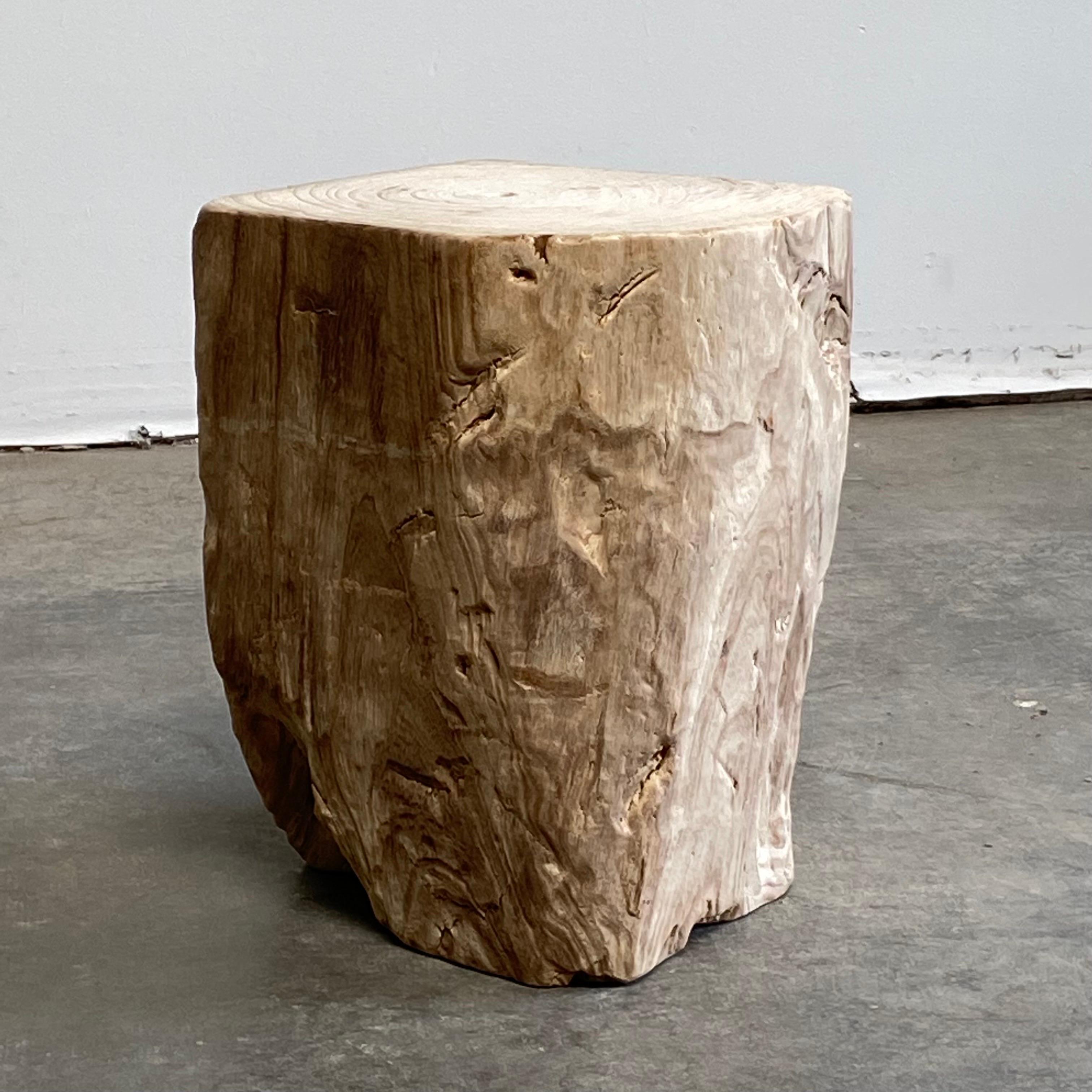 Natural Minimalist Stump Side Table 6