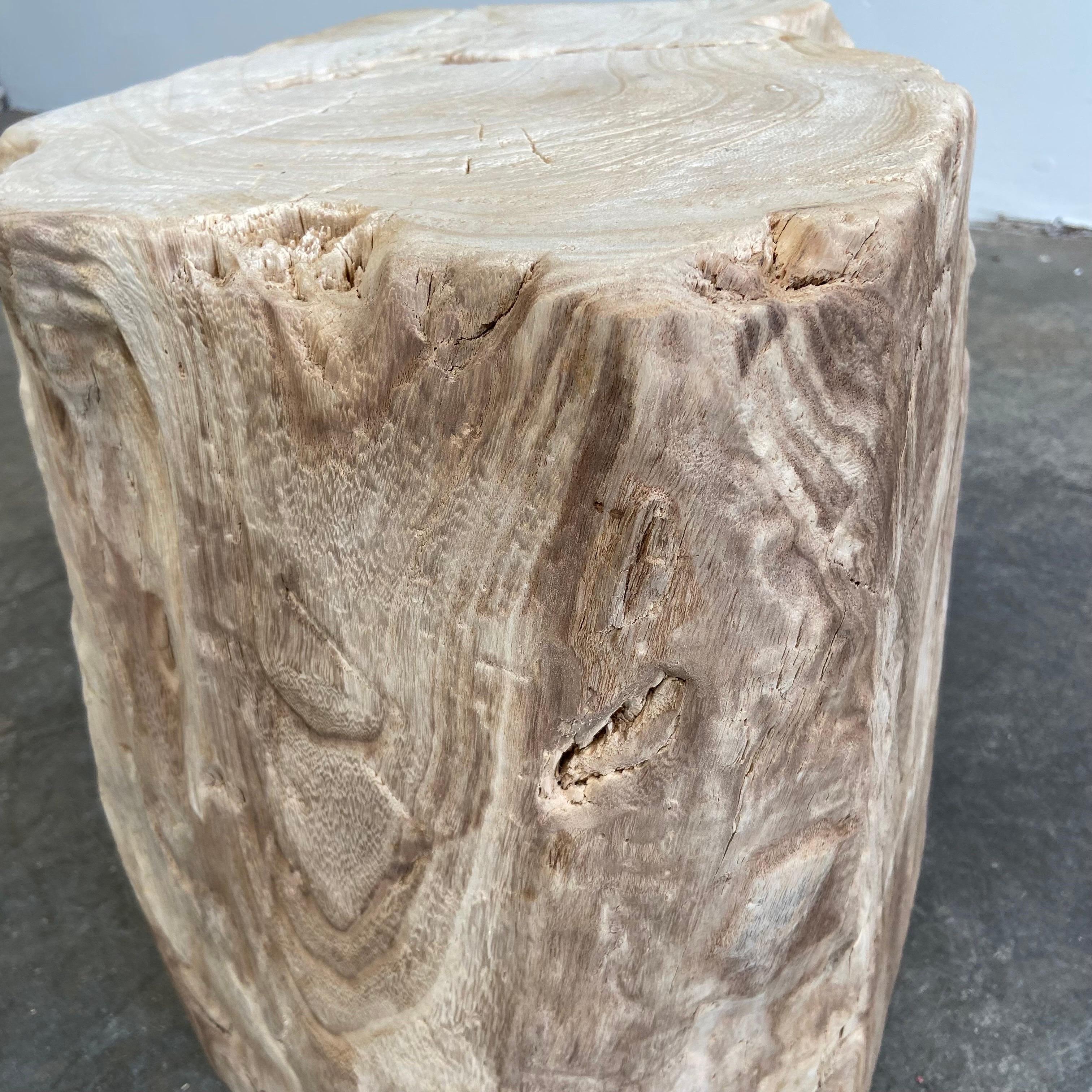 Wood Natural Minimalist Stump Side Table