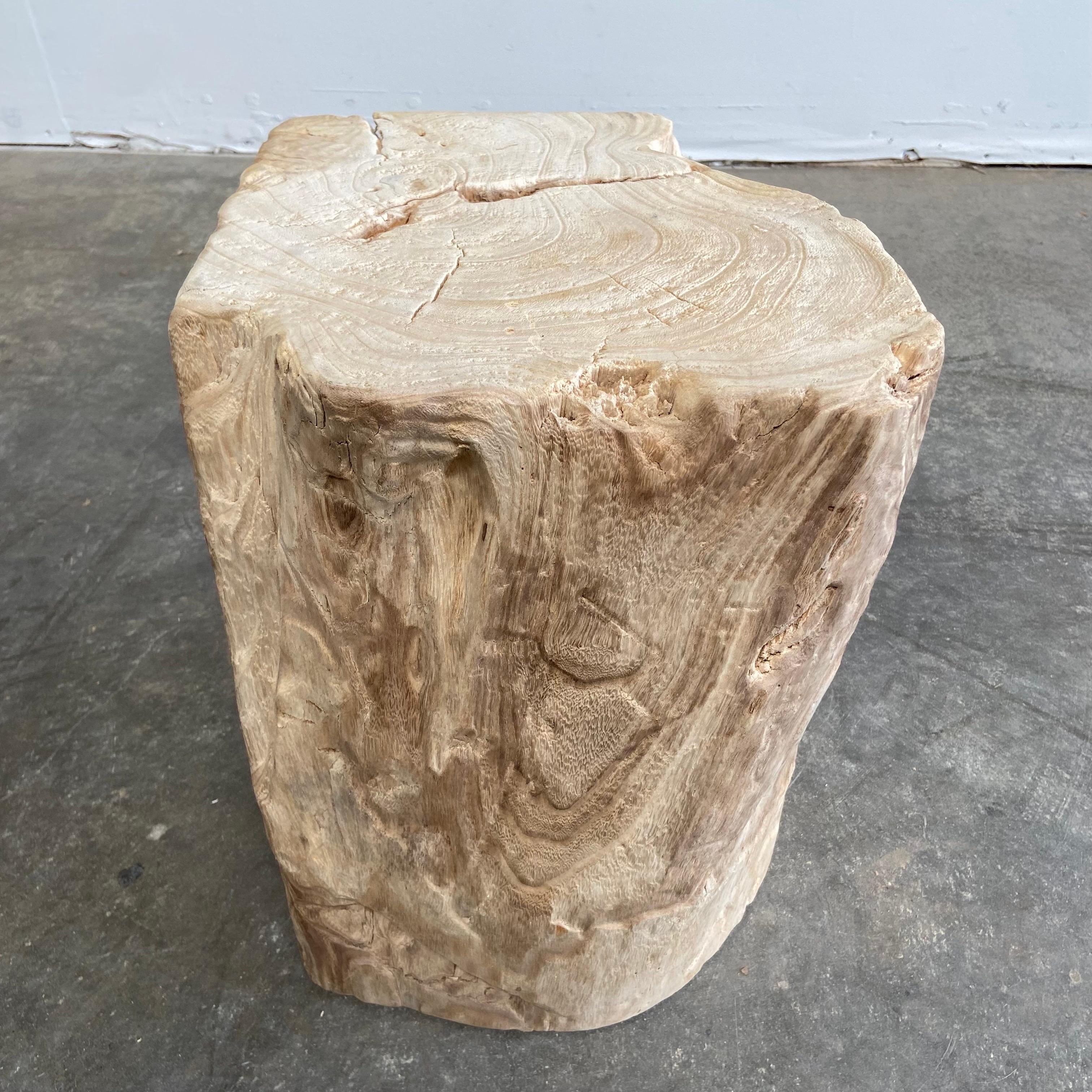 Natural Minimalist Stump Side Table 2