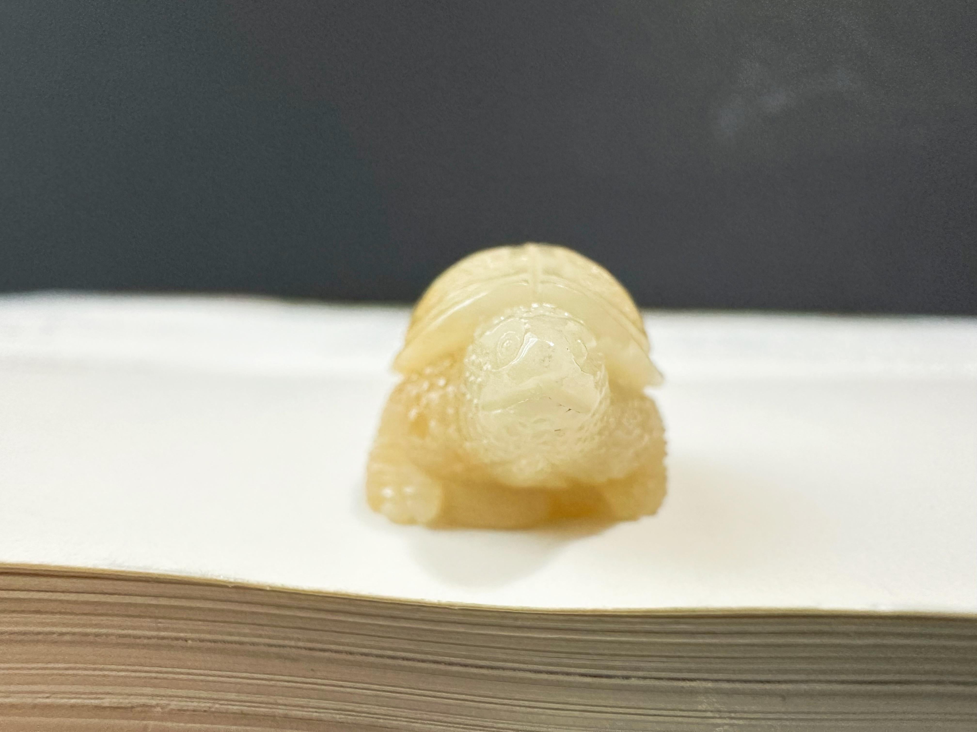 Tortuga de Jade Amarillo Dorado Natural de Myanmar Jadeíta Suelta, Símbolo de Longevidad en venta 2