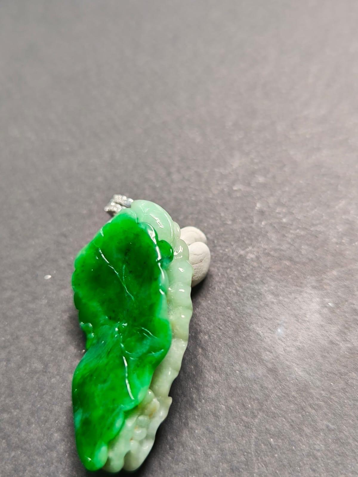 Pendentif en jade vert impérial du Myanmar, serti d'or blanc 18 carats en vente 12