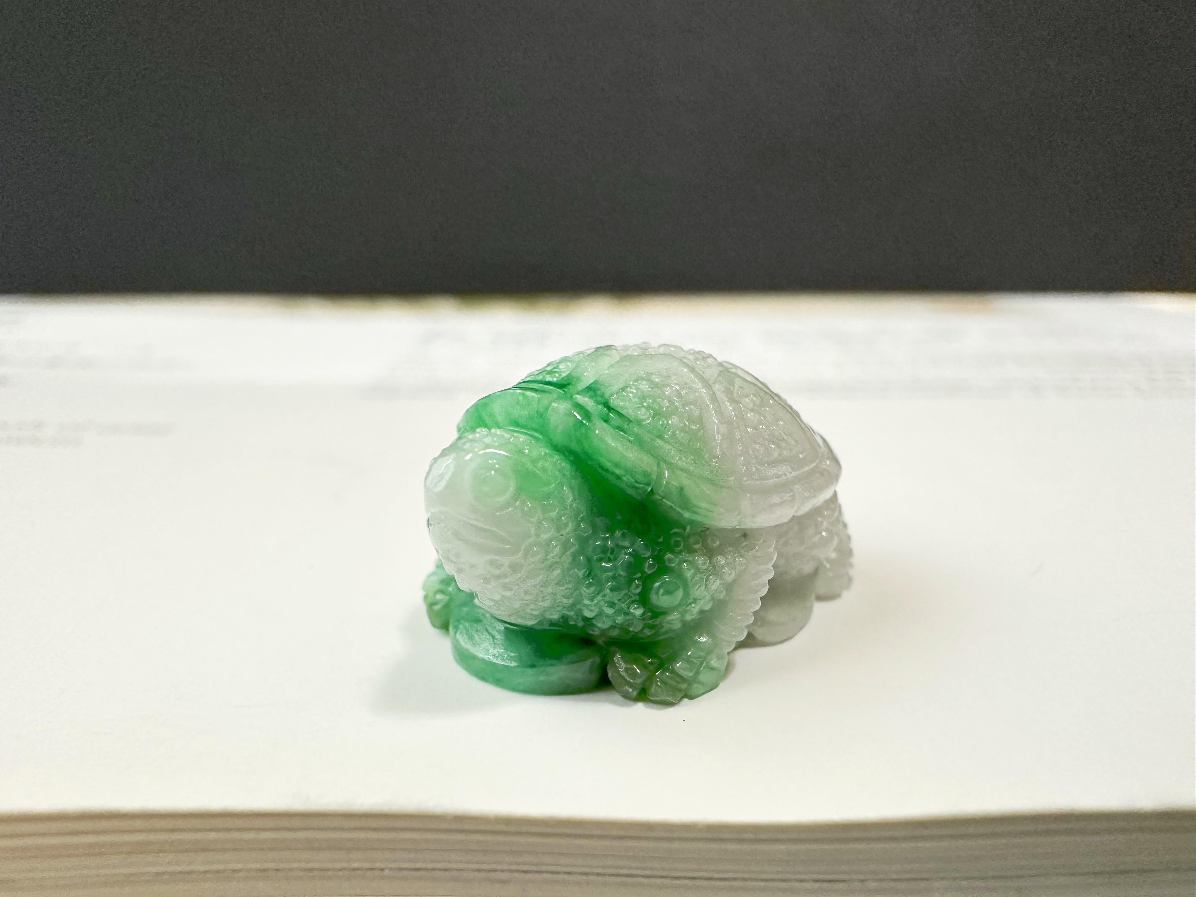 Tortuga Natural de Myanmar Jadeíta Verde Viva Suelta, Símbolo de Longevidad en Nuevo estado para la venta en Kowloon, HK