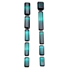 Tourmaline Bicolore Naturelle Vert 
Greene Greene 
Greene 25.10Ct pour Bijoux