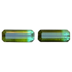 Nature Greene 
Greene Greene Tourmaline 4.86 Ct Emerald Cut Loose Gemstone Set