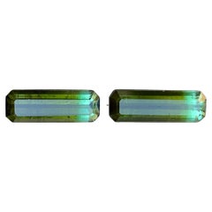 Paire de pierres précieuses en vrac Greene 
Greene Greene Tourmaline bicolore 6.33 Ct Emerald Cut