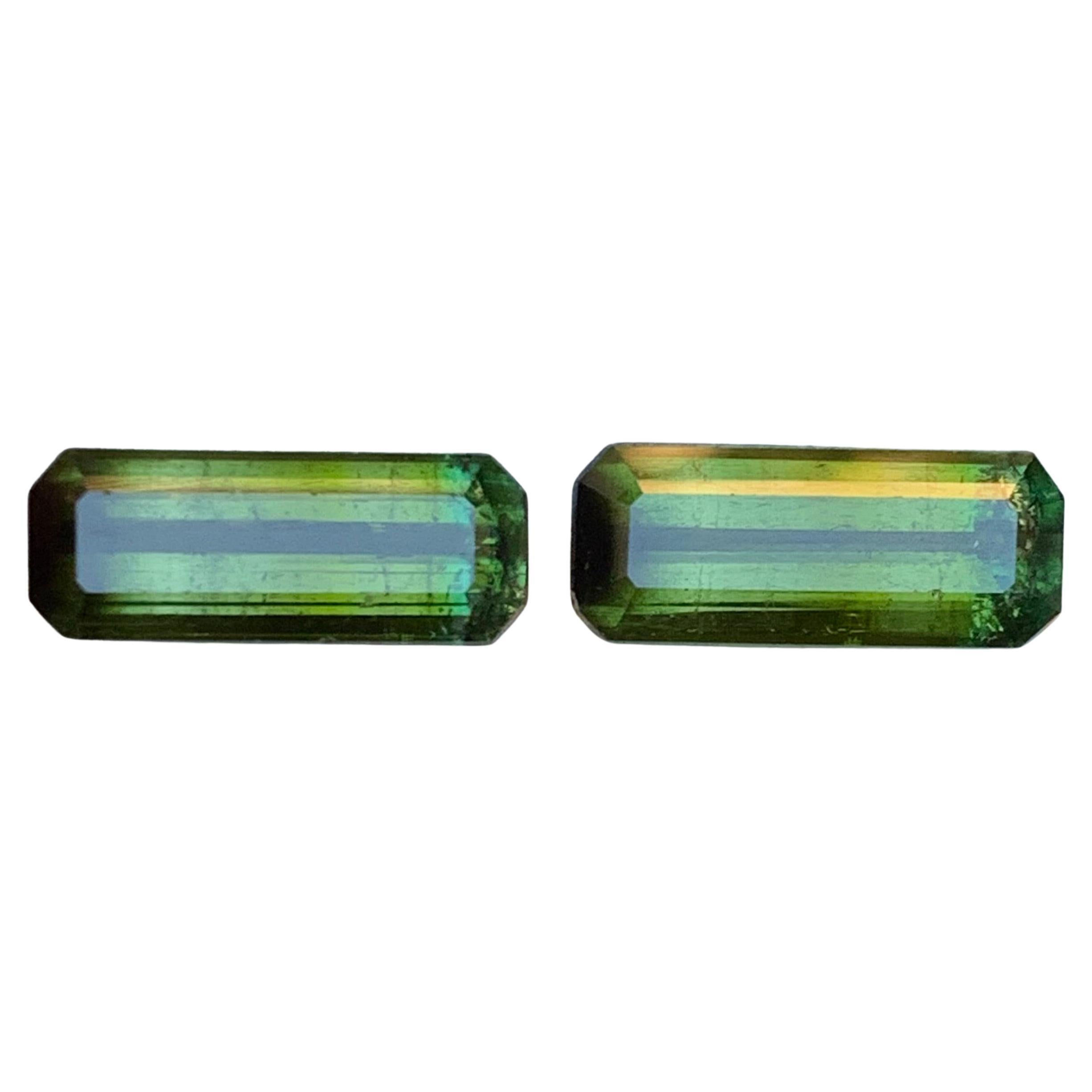 Nature Greene
Greene Greene Tourmaline 6.38 Ct Emerald Cut Loose Gemstone Set