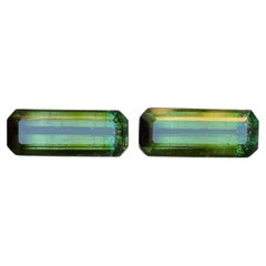Nature Greene
Greene Greene Tourmaline 6.38 Ct Emerald Cut Loose Gemstone Set