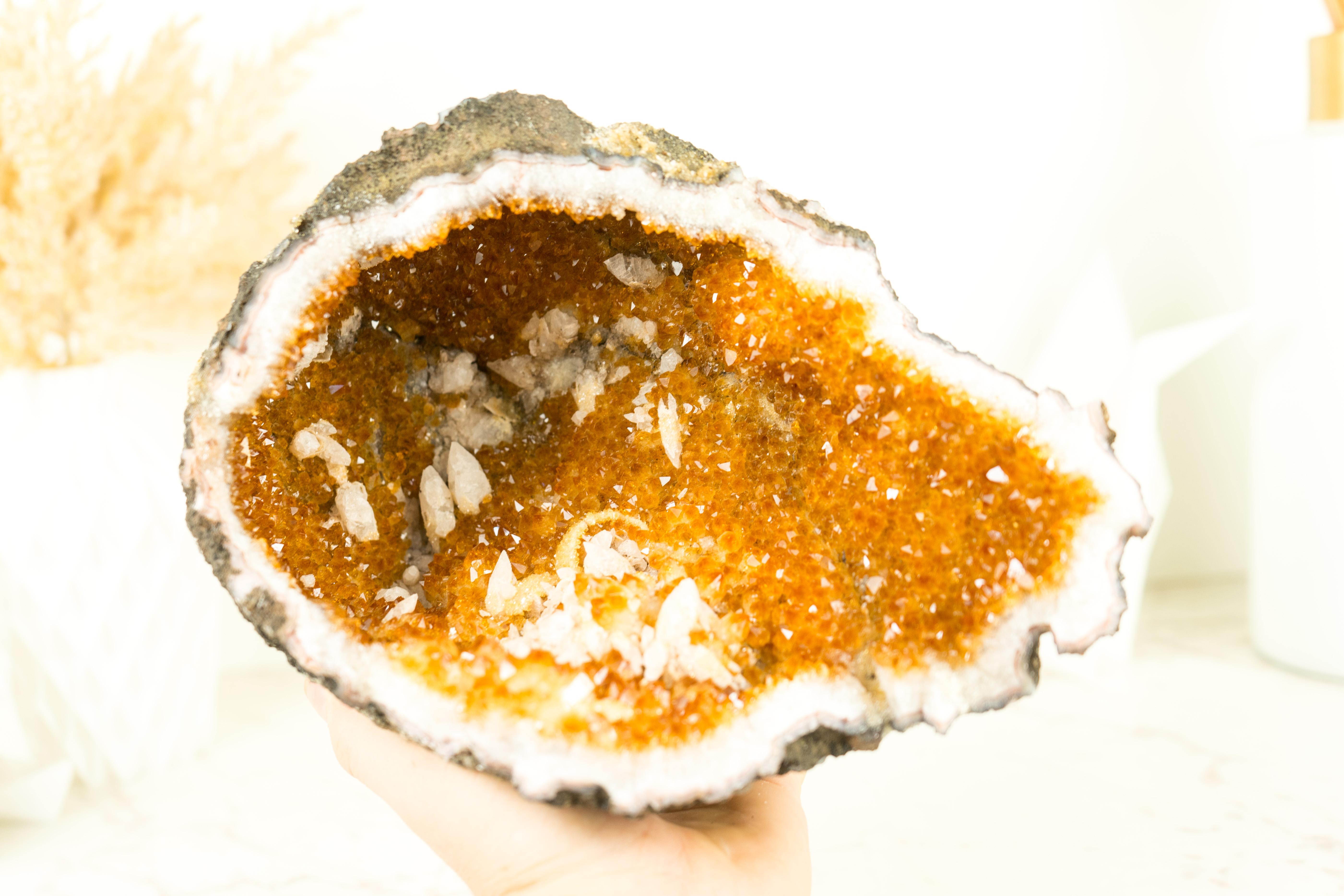 With its golden orange color tone and natural, beautiful cave-like shape, this Citrine Geode is a fabulous small Citrine specimen. It is undoubtedly a Citrine that will serve as a stunning accent piece, seamlessly adding to any space or