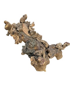 Natural Organic Burl Root Coffee Table Base