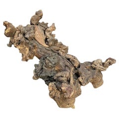 Natural Organic Burl Root Coffee Table Base