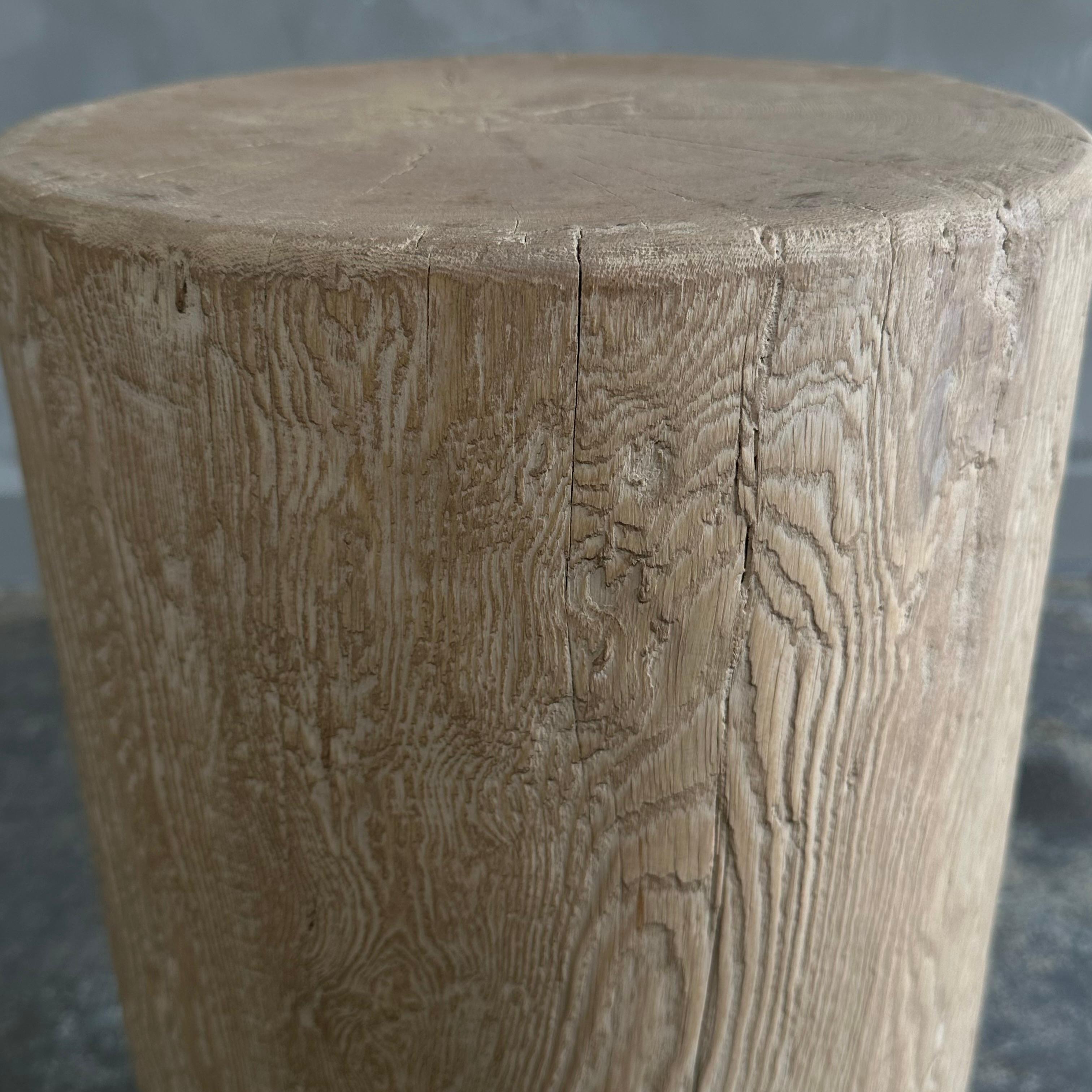 Natural Organic Elm Wood Stump Side Table 4