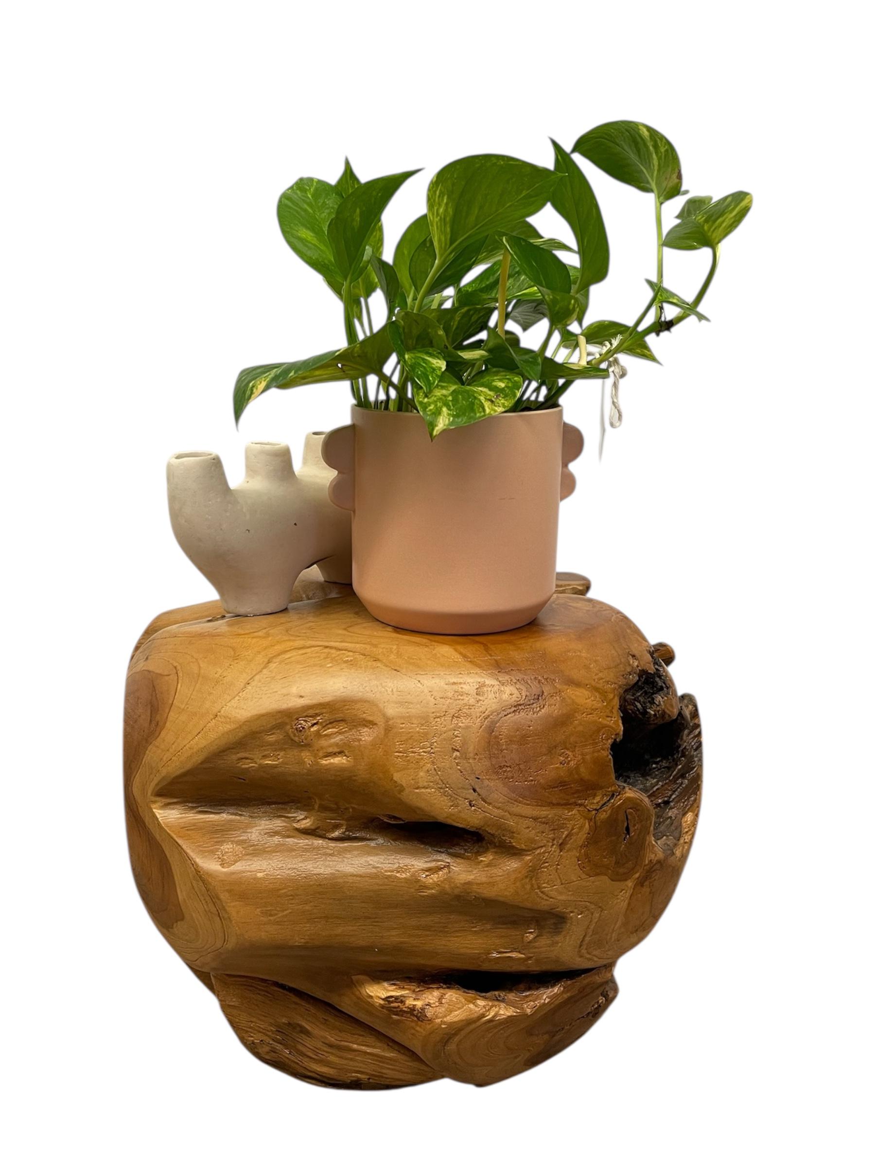 Handgefertigt aus einem einzigen Stück wahrscheinlich massiven Teakholzes, bringt dieser Akzent in organischer Form die natürlichen Konturen, Äste und Maserungsvariationen des Holzes zur Geltung. Die Oberfläche ist glatt geschliffen, um die satten