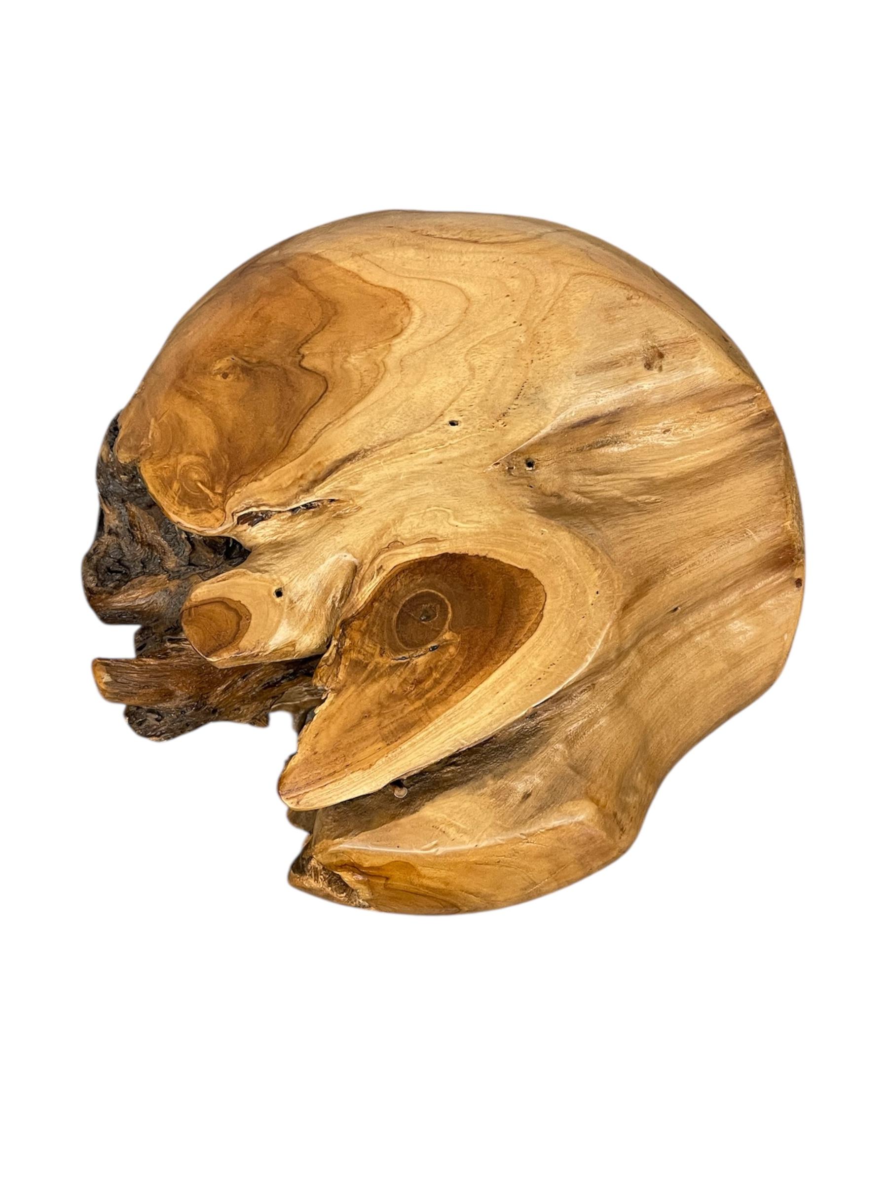 Natürliche organische Likely Teak Wurzel Akzent Tisch oder skulpturale Display Stand (Teakholz) im Angebot