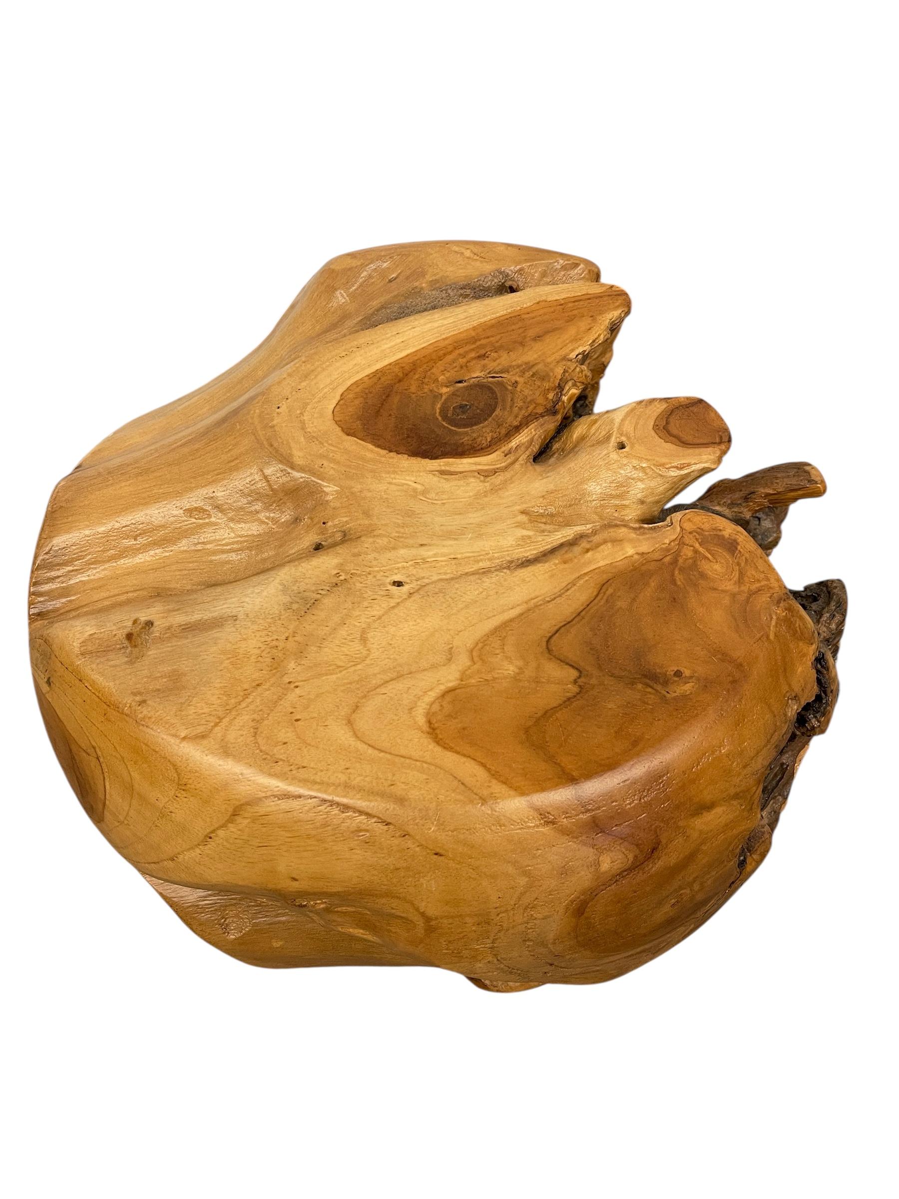 Natürliche organische Likely Teak Wurzel Akzent Tisch oder skulpturale Display Stand im Angebot 1