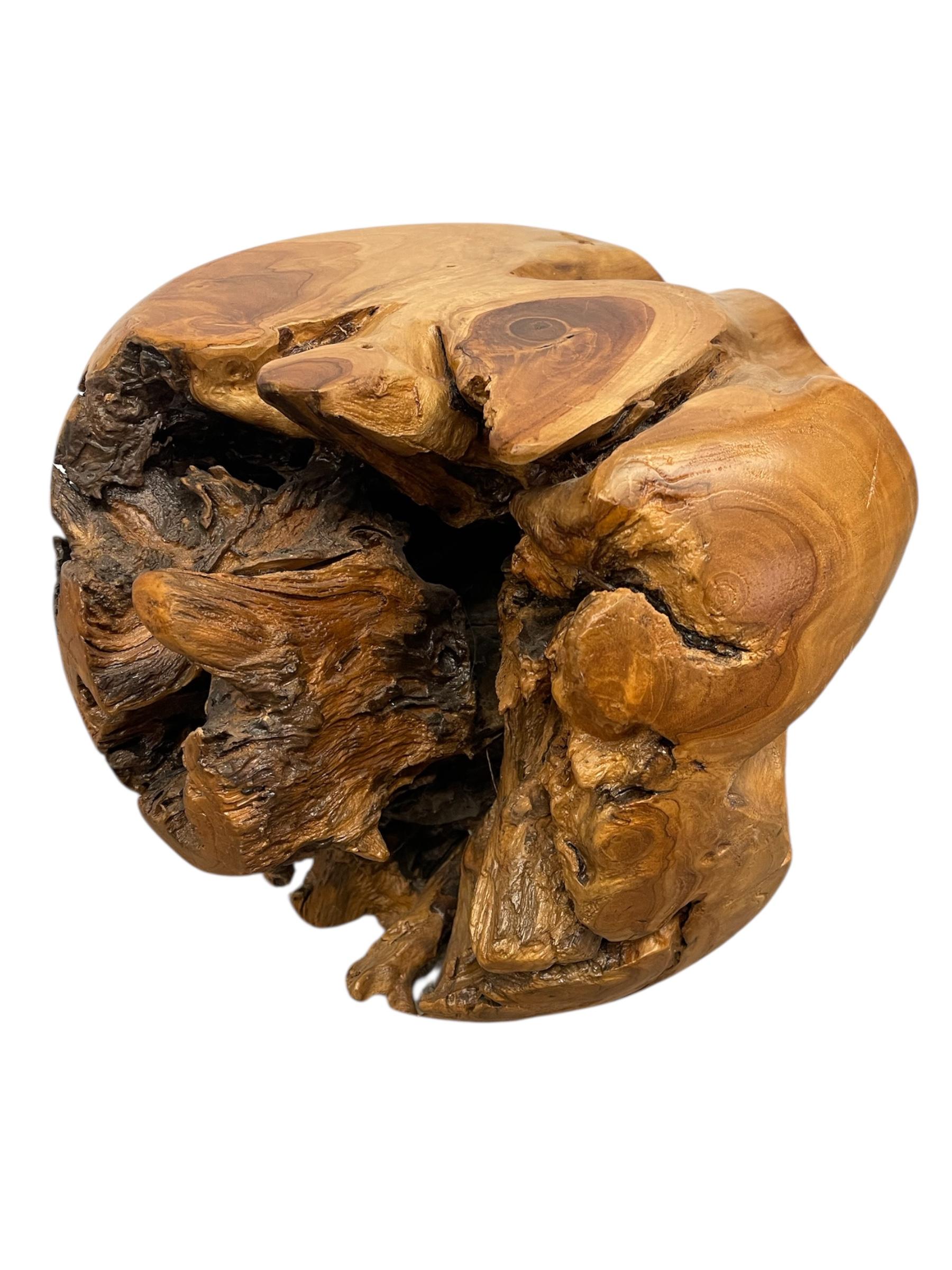 Natürliche organische Likely Teak Wurzel Akzent Tisch oder skulpturale Display Stand im Angebot 2