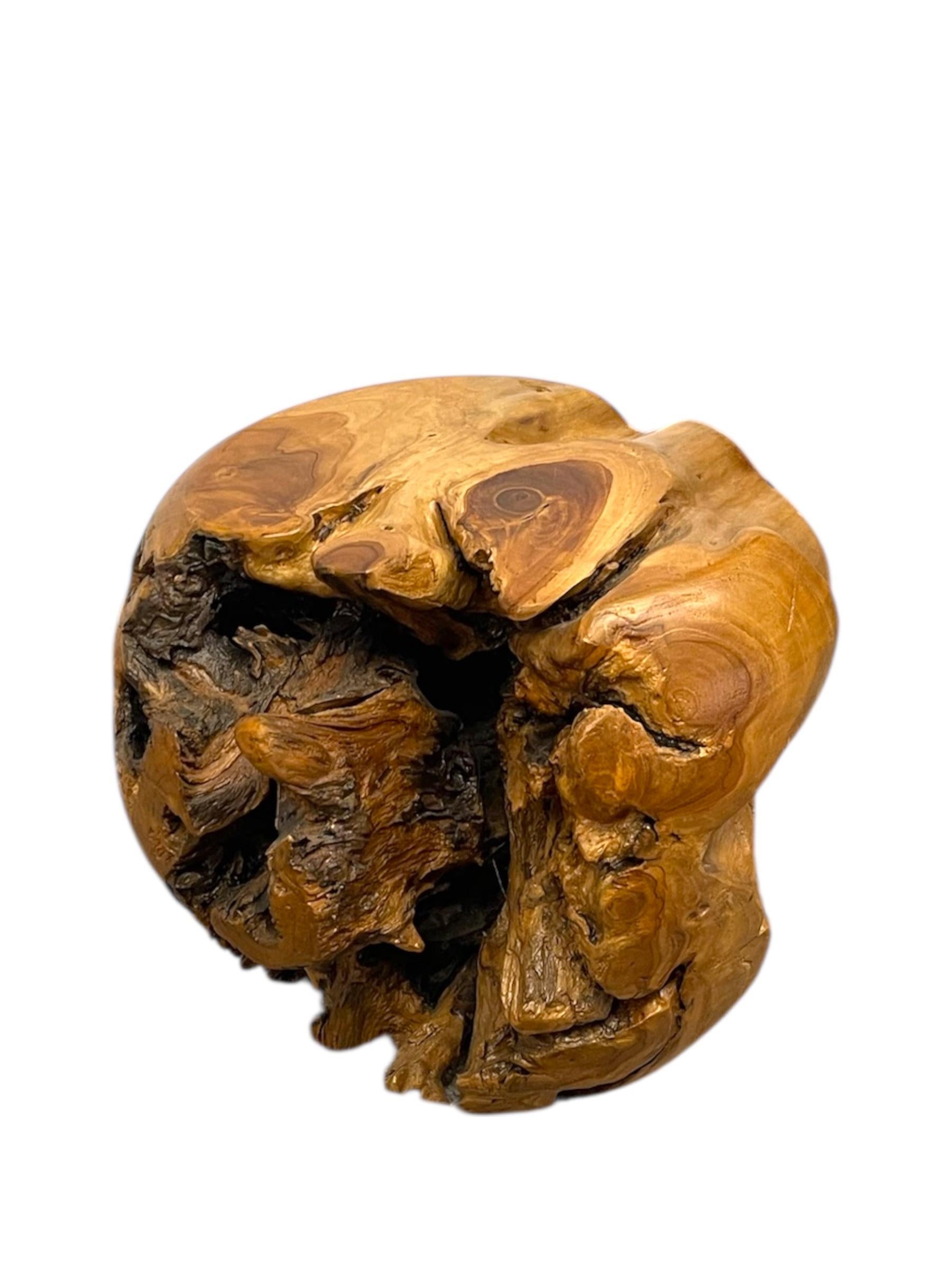 Natürliche organische Likely Teak Wurzel Akzent Tisch oder skulpturale Display Stand im Angebot 3