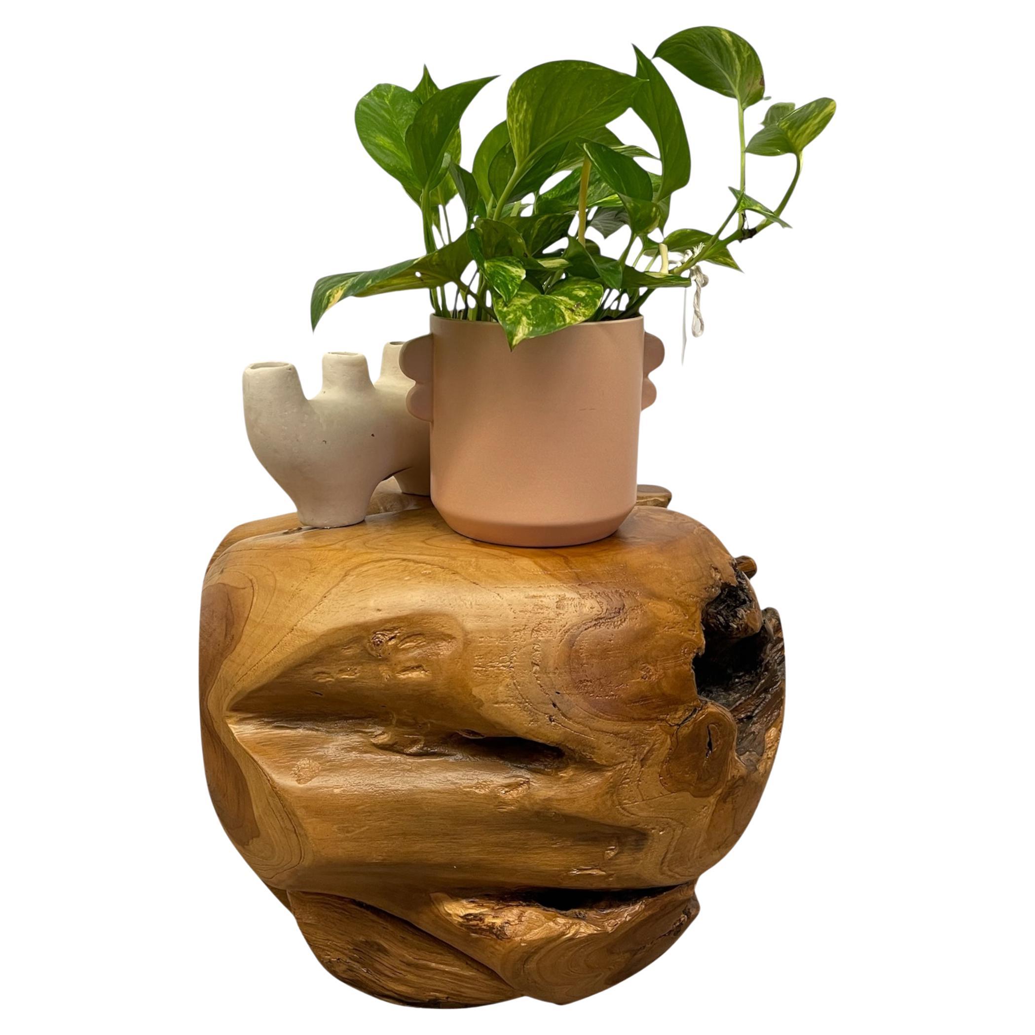 Natürliche organische Likely Teak Wurzel Akzent Tisch oder skulpturale Display Stand im Angebot