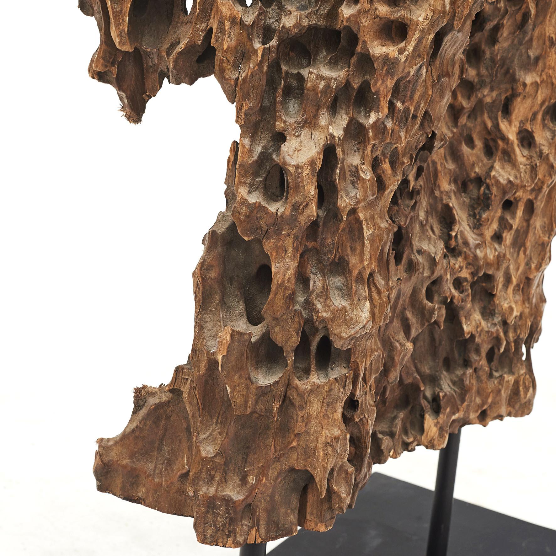 Natürliche Bio-Roots-Skulptur im Angebot 2