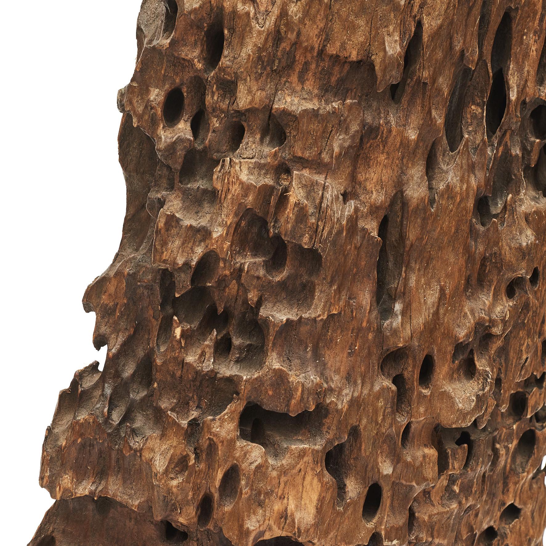 Natürliche Bio-Roots-Skulptur (Ende des 20. Jahrhunderts) im Angebot