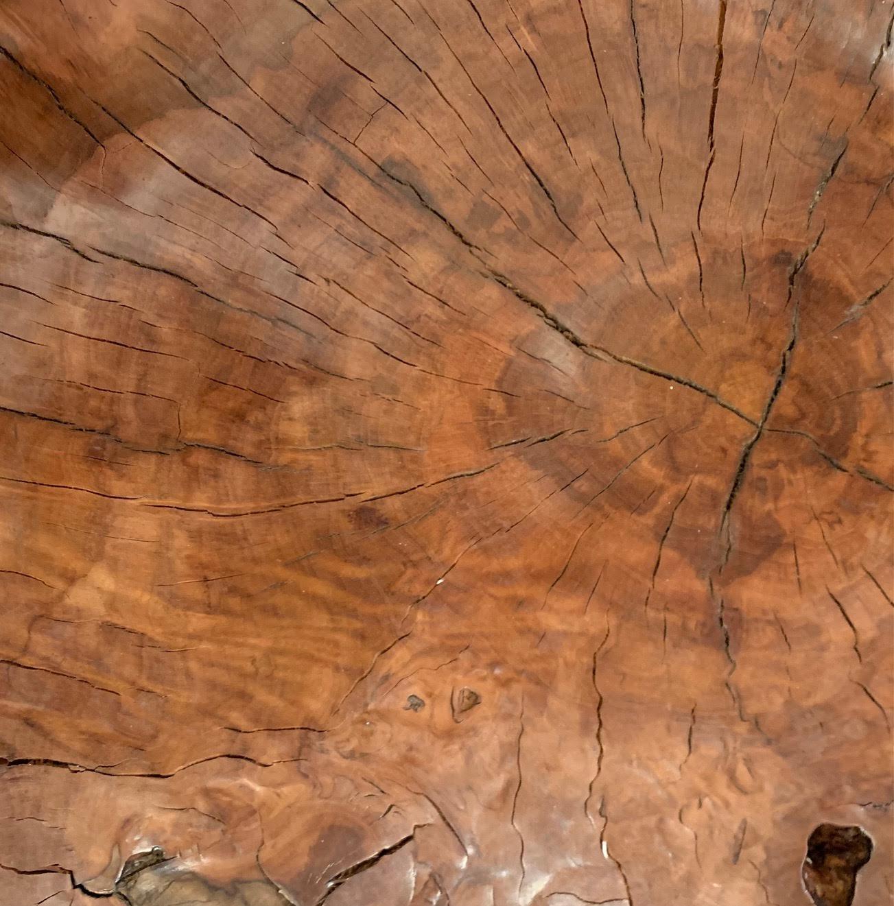 Indonesian Natural Organic Shape Lychee Wood Side Table On Casters, Indonesia, Contemporary