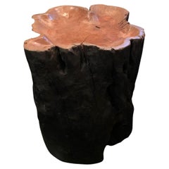Natural Organic Shape Lychee Wood Side Table On Casters, Indonesia, Contemporary