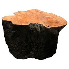 Natural Organic Shape Lychee Wood Side Table On Casters, Indonesia, Contemporary