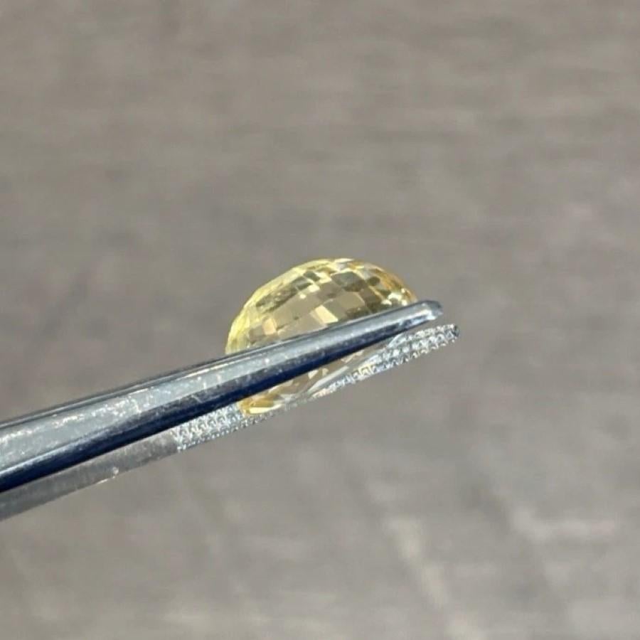 Natural Oval Mixed Brilliant Cut 8.92 Carats Canary Loose Yellow Sapphire en venta 3