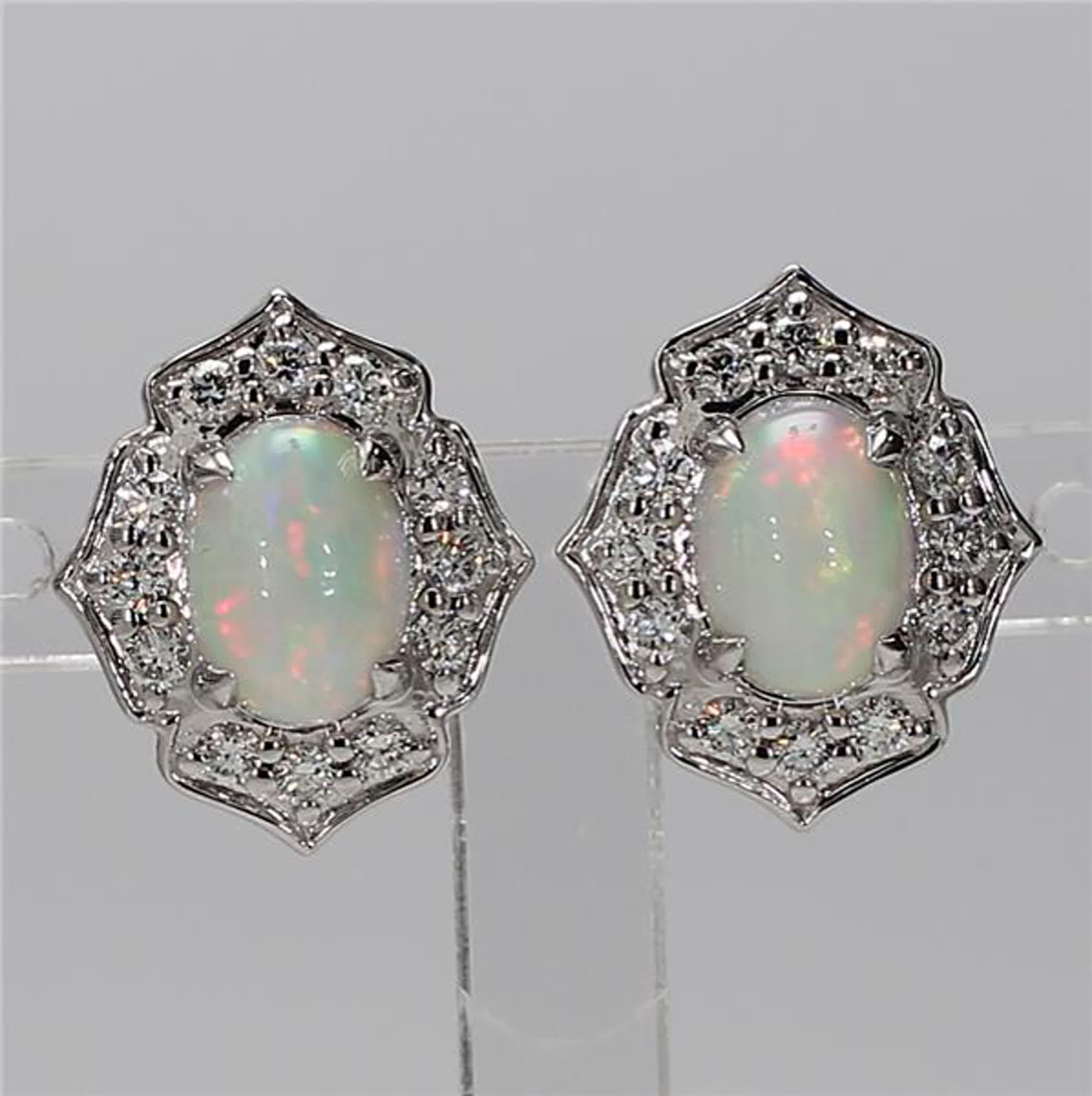 RareGemWorld's classic opal earrings. Mounted in a beautiful 18K White Gold setting with natural oval cut opal's. The opal's are surrounded by natural round white diamond melee. These earrings are guaranteed to impress and enhance your personal
