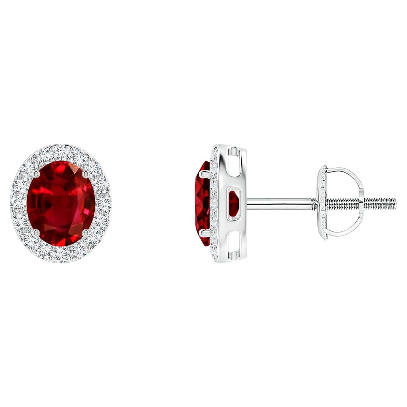 ANGARA Natural Oval 0.80ct Ruby Studs with Diamond Halo in 14K White Gold For Sale