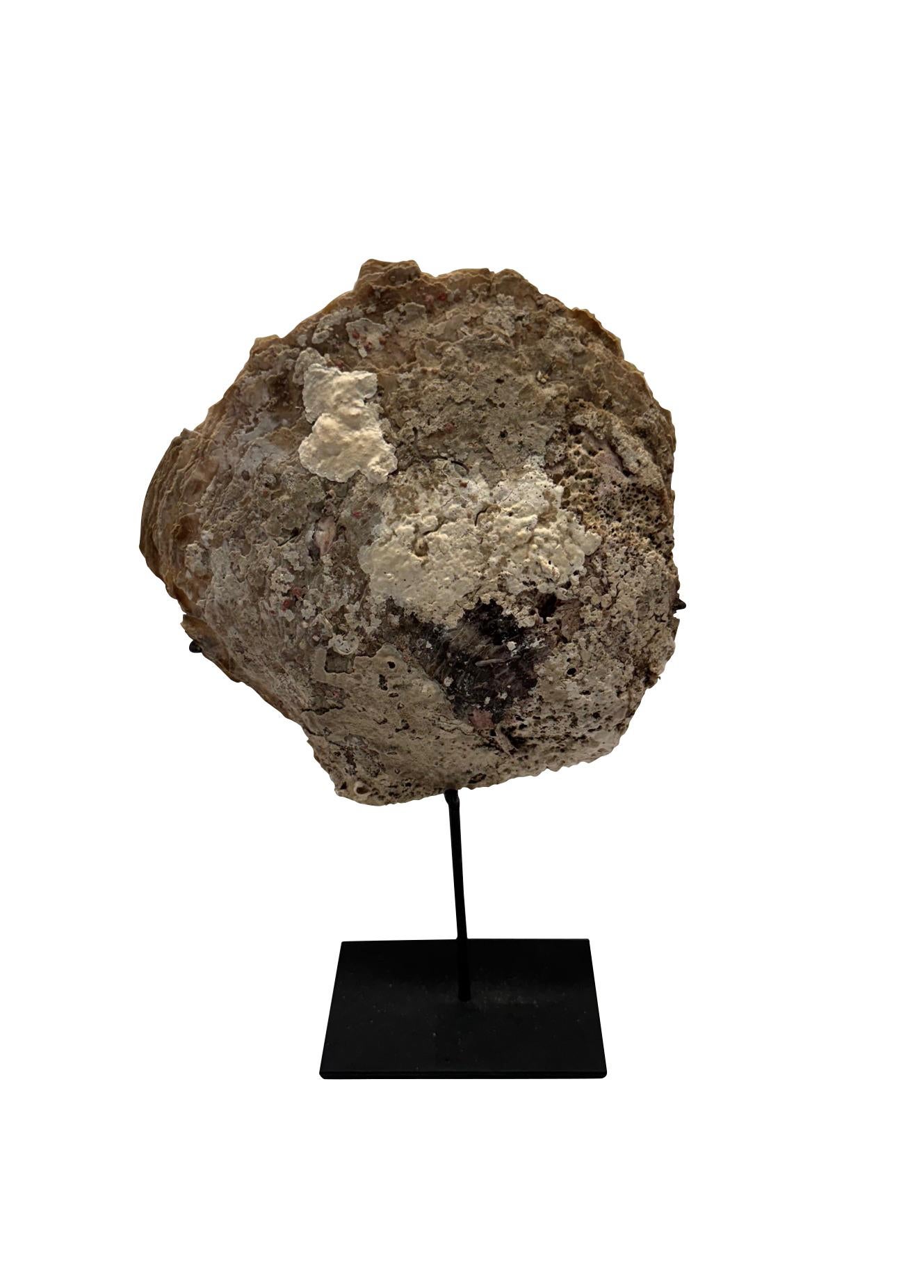 Autre Ensemble de deux sculptures en forme de coquille d'huître à la patine naturelle, Indonésie, Contemporary en vente