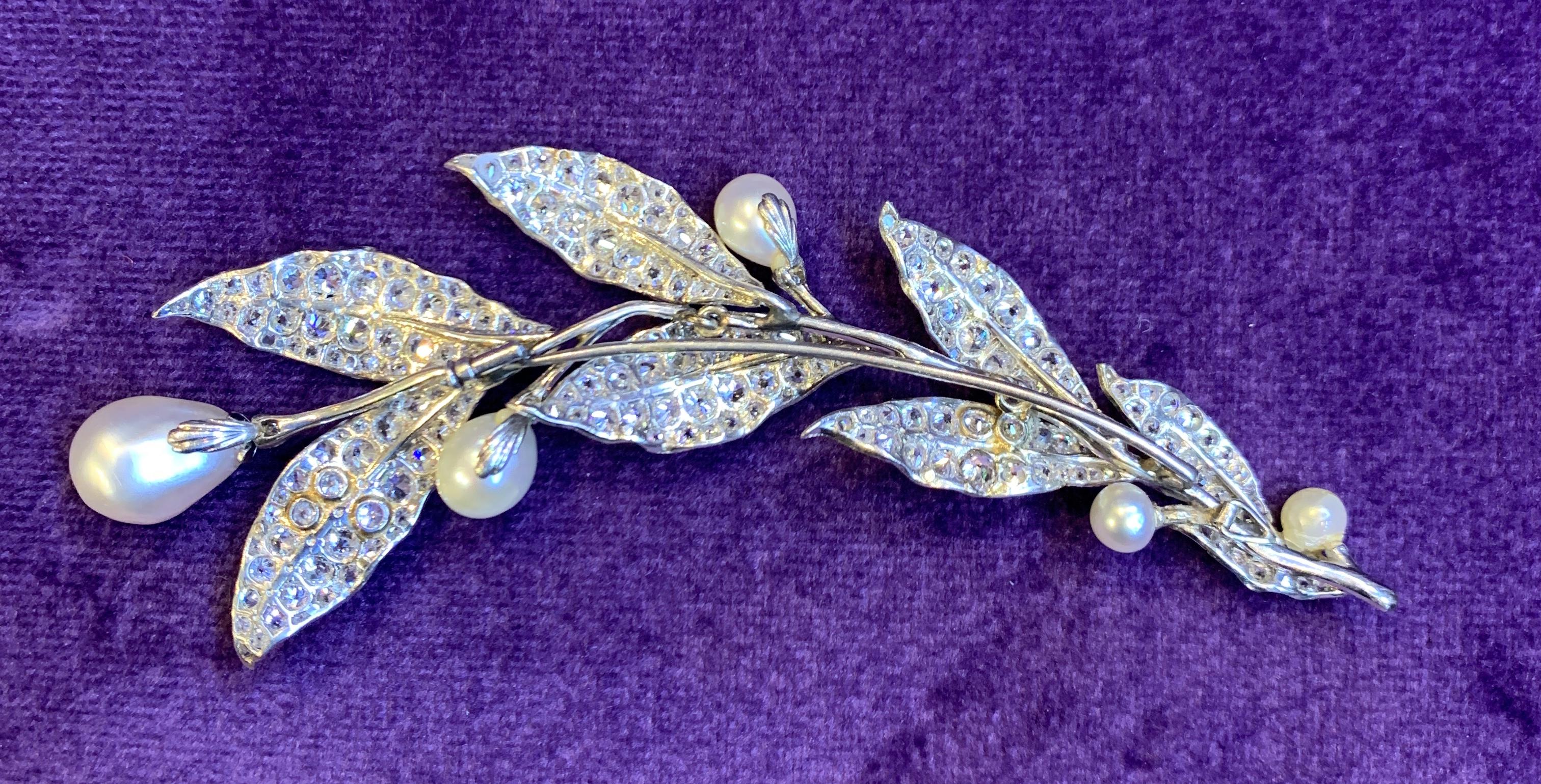 Blumenbrosche oder Haarpiece aus Naturperlen und Diamanten aus der Belle Epoque im Zustand „Hervorragend“ im Angebot in New York, NY