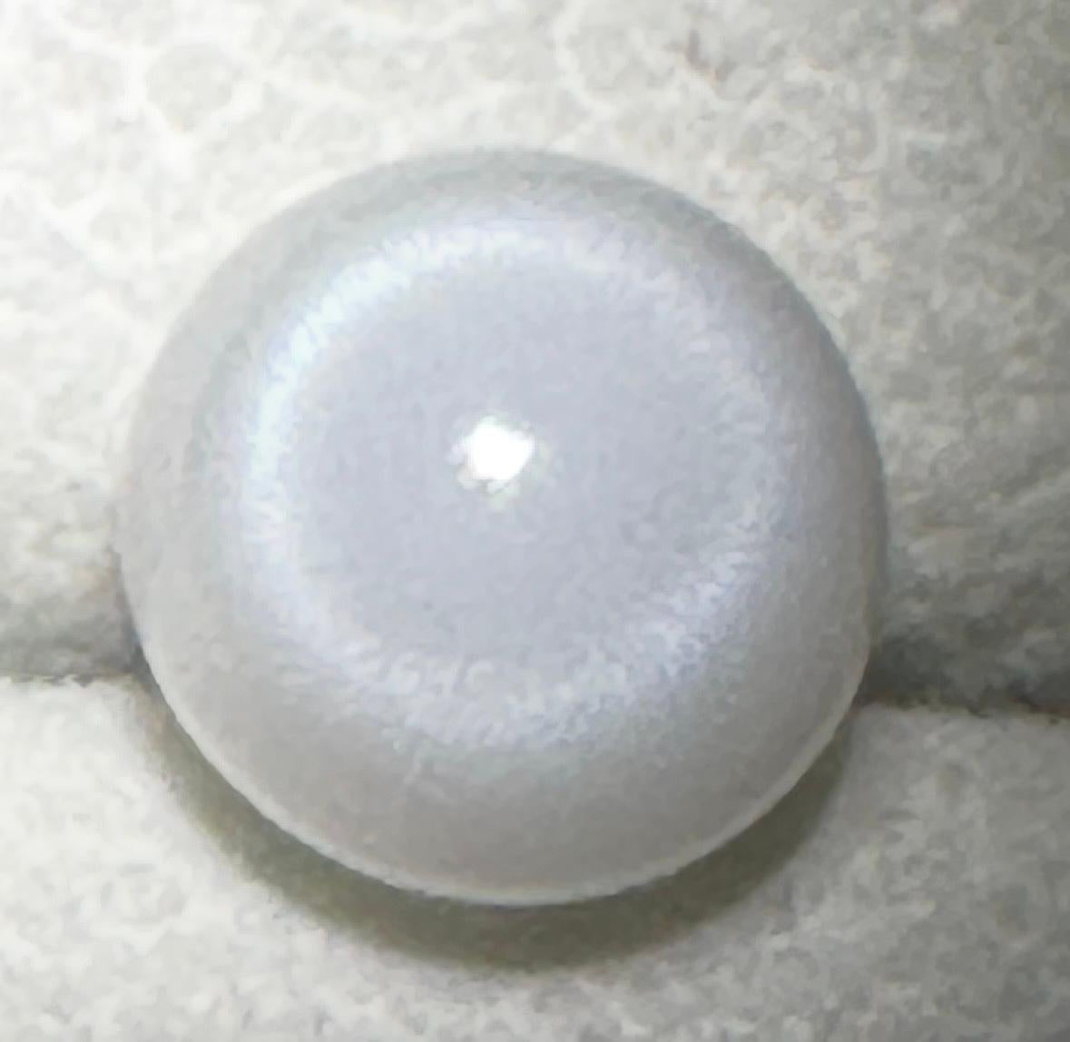 Translucent Pearls Natural Pearl Tridacna Clam 7.81ct - Beautiful ! For Sale at 1stDibs