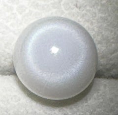 Natural Pearl Tridacna Clam 7.81ct - Beautiful !