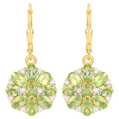 Silver Lever-Back Earrings