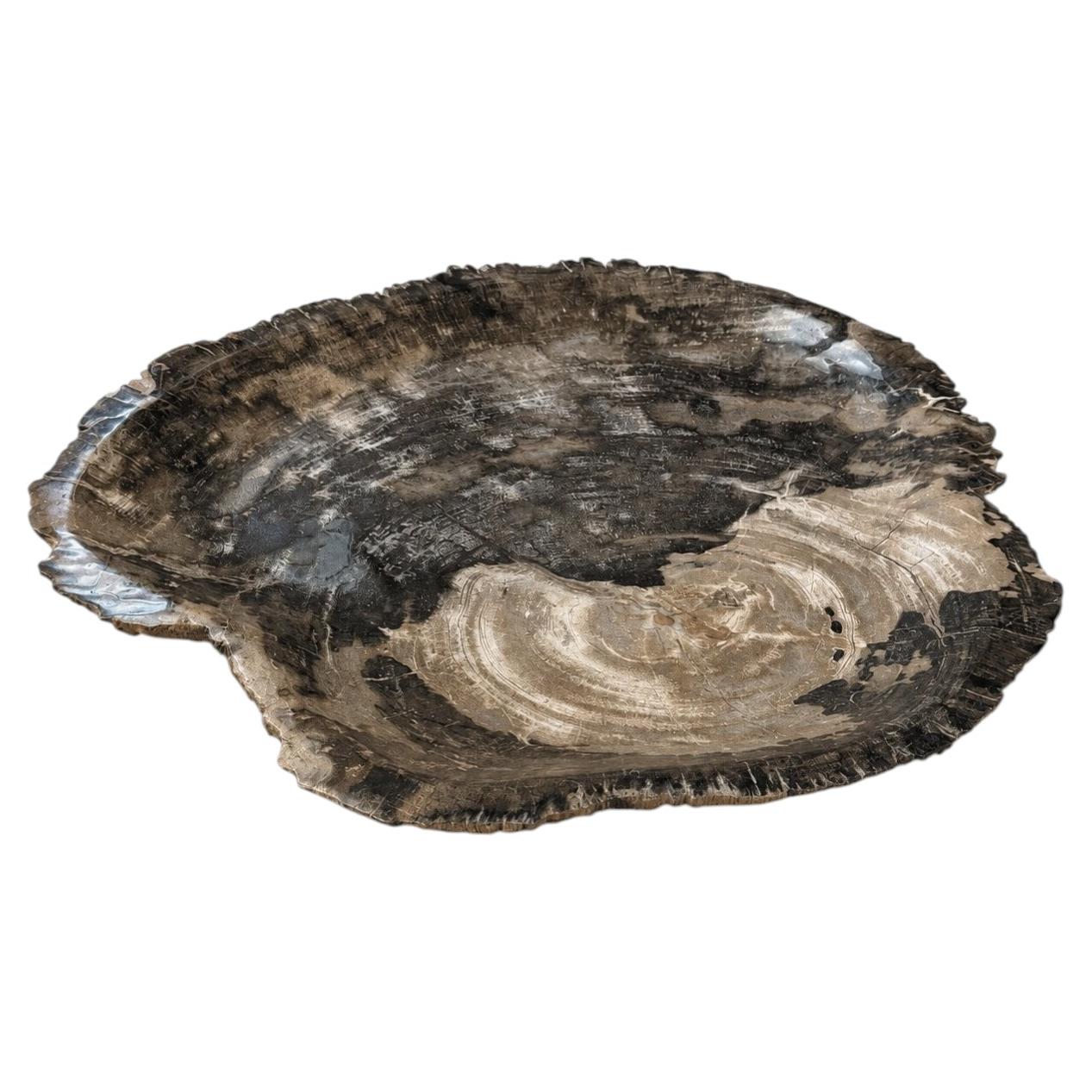 Rustic Natural Petrified Wood Centerpiece Platter from Java, Indonesia For Sale